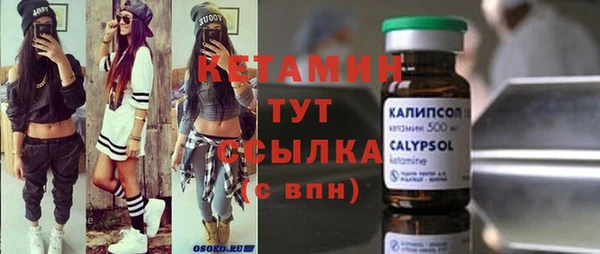 гашик Пестово