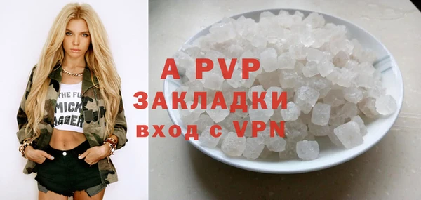 гашик Нефтекумск