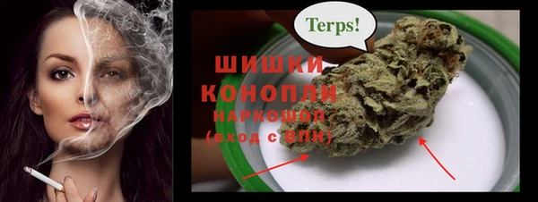 гашик Пестово