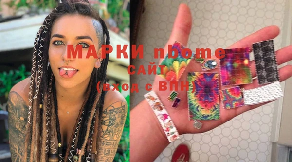 стафф Гатчина