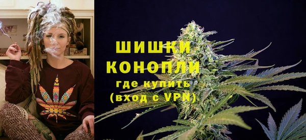 крисы Новодвинск
