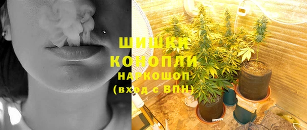 гашик Пестово