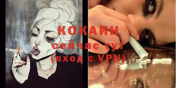 гашик Пестово