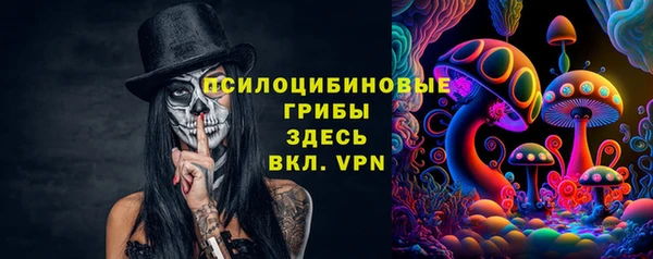 спиды Переславль-Залесский